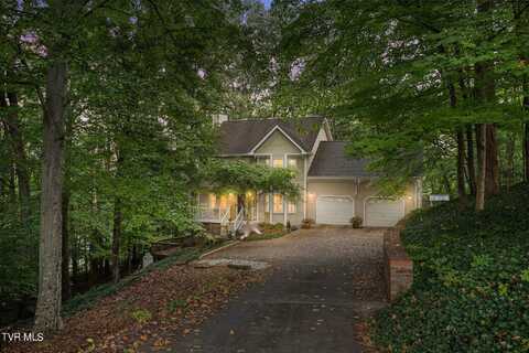 376 Cain Drive, Blountville, TN 37617