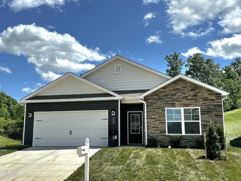 210 Golden Rod Drive, Bluff City, TN 37618