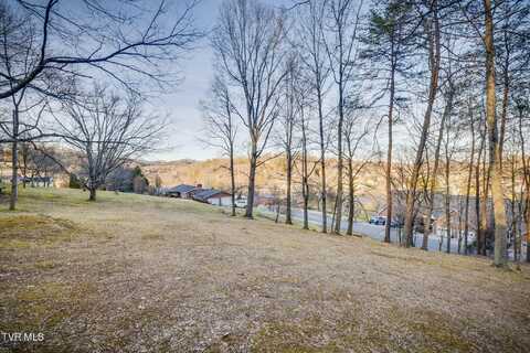 Alexander Avenue, Church Hill, TN 37642
