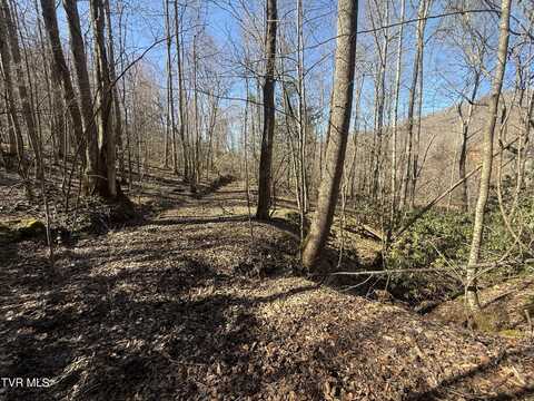 539/Ac Tbd Off Hwy 421, Mountain City, TN 37683