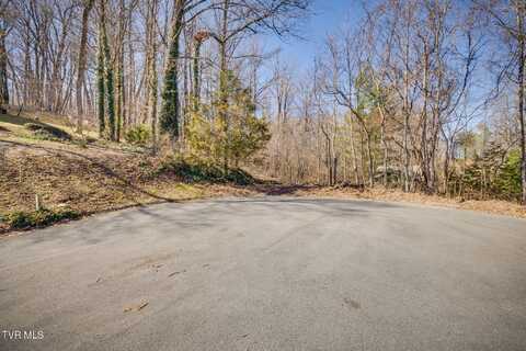 Knobb Hill Road, Johnson City, TN 37601