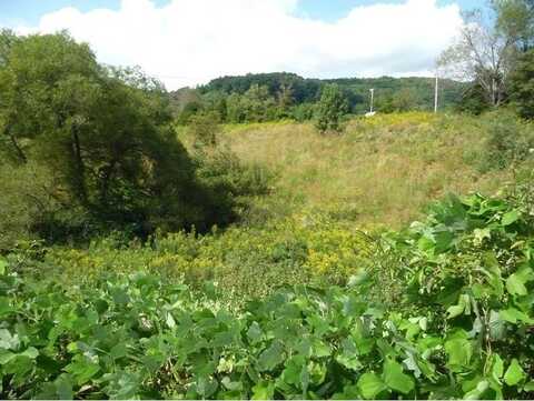 Daniel Boone Road lot: 4, Gate City, VA 24251