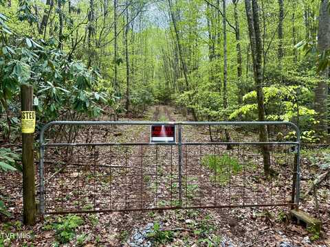 57.67/Ac Tbd Powder Branch Road, Elizabethton, TN 37643