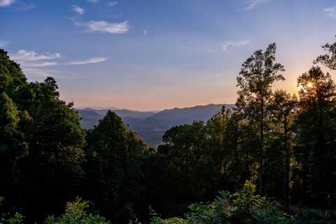 Ridgetop Lane lot: 4, Unicoi, TN 37692