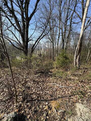 2137 Hiara Drive, Kingsport, TN 37660
