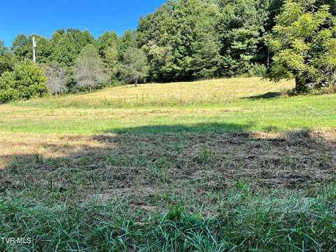 133 00 Richardson Hollow/ Estep Lp, Elizabethton, TN 37643