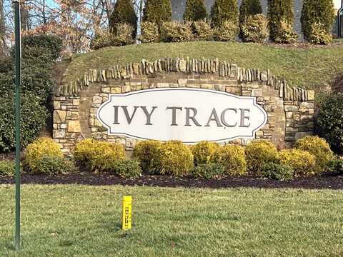 English Ivy Trail lot: 45, Jonesborough, TN 37659