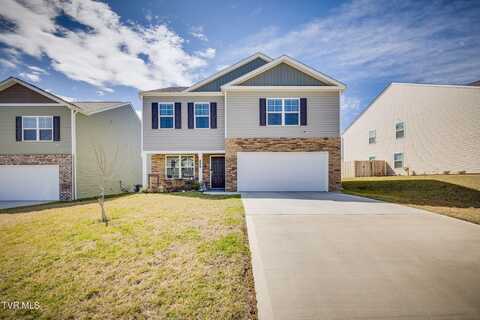 1207 Cherry Grove, Greeneville, TN 37745