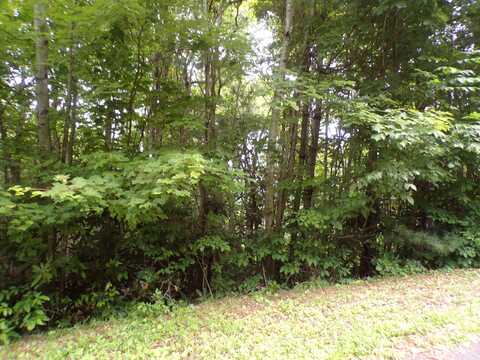 Callalantee Drive, Mountain City, TN 37683
