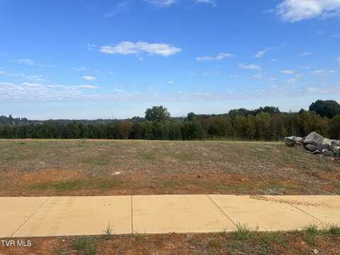 84 Glaze Farm Way, Johnson City, TN 37601