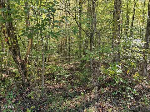 Cave Springs Road, Rogersville, TN 37857
