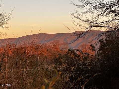 5ac Parman Road, Greeneville, TN 37743