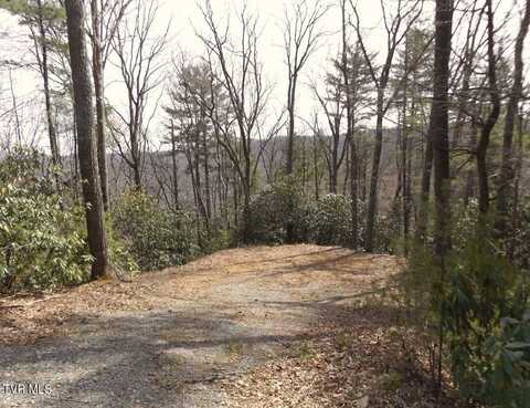 704 Heartwood Lot 55 Lane, Butler, TN 37640