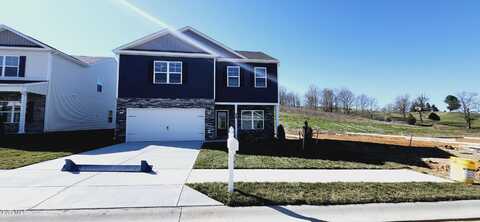 1717 Fox Meadows Circle, Bluff City, TN 37618