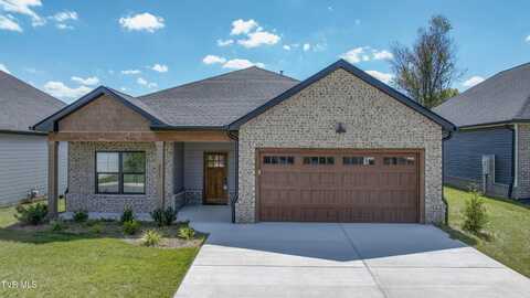 211 Dry Kiln Court, Johnson City, TN 37615
