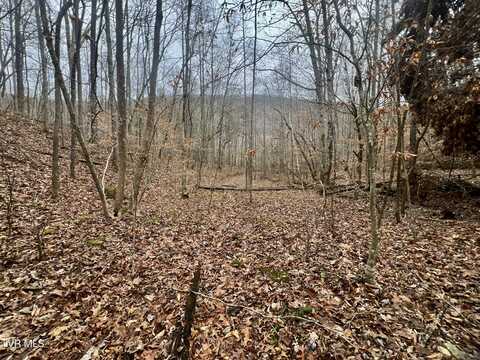 27.4/Ac Tbd Snake Hollow Road, Sneedville, TN 37869