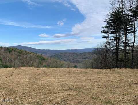306 Honeymoon Lot 68 Hollow, Butler, TN 37640