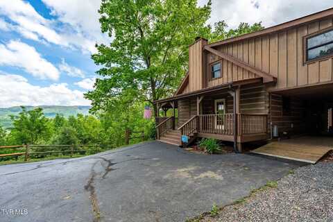 563 Longview Private Drive, Mountain City, TN 37683