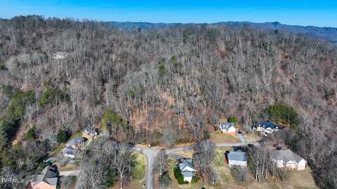 Spindletop Drive, Rogersville, TN 37857