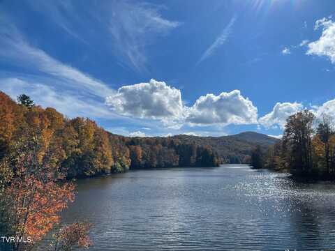 144 Ripshin Lake Road, Roan Mountain, TN 37687