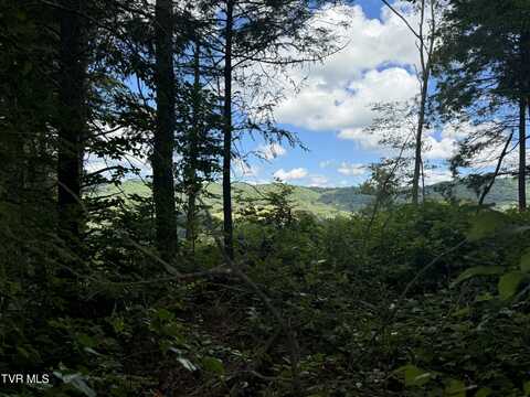 221 Shell Creek Road, Roan Mountain, TN 37687