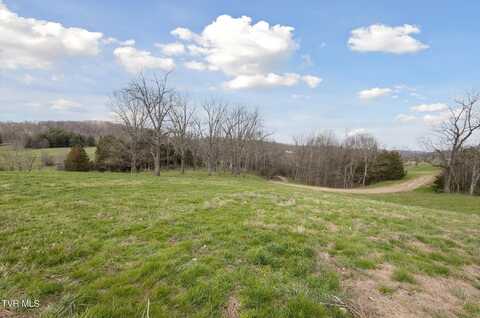 Highway 75, Blountville, TN 37617