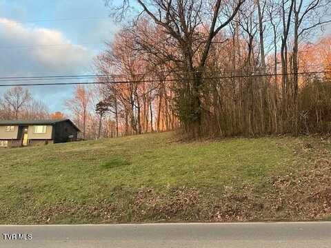 Telford Road lot: 15, Telford, TN 37690