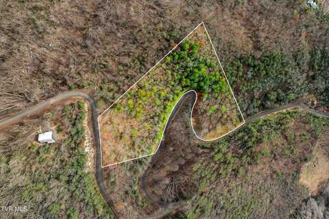 Callalantee Drive, Mountain City, TN 37683