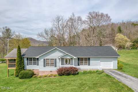 105 Buckner Drive, Roan Mountain, TN 37687