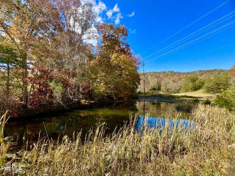 7084/7045 Lone Star Road unit: 1, Kingsport, TN 37660