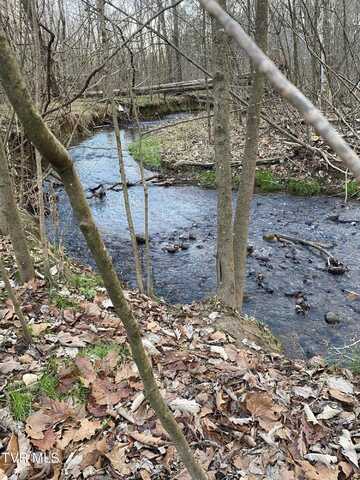 Williams (42 Acres), Surgoinsville, TN 37873