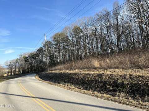 Tbd West Allen'S Bridge Road, Greeneville, TN 37743