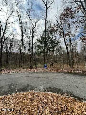 Tbd Noellwood Drive, Greeneville, TN 37743