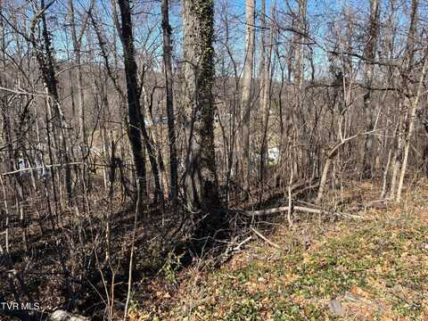 000 Brooks Street, Greeneville, TN 37743