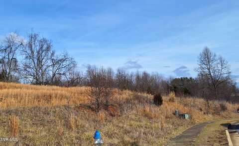 Tbd Mizpah Hills Drive, Johnson City, TN 37604