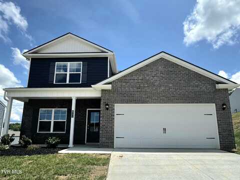 611 Canoe Street, Johnson City, TN 37604