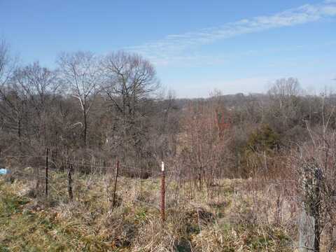Locust Street, Greeneville, TN 37745