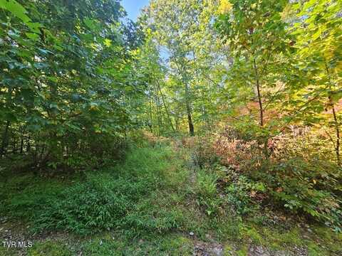 Fox Hollow Drive lot: 17, Tazewell, VA 24630
