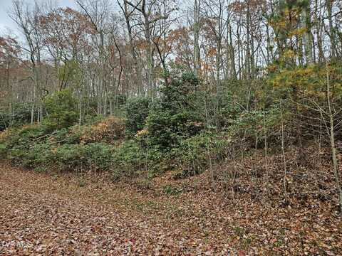 Lot 17 Fox Hollow Drive, Tazewell, VA 24630