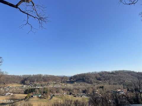 Tbd Chestnut Ridge Road, Kingsport, TN 37664