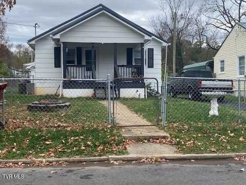 208 Dyer Street, Johnson City, TN 37601