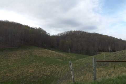 Buffalo Hollow, Castlewood, VA 24224