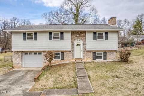 1207 Althea Street, Johnson City, TN 37601