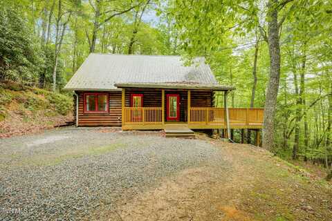 2547 Callalantee Drive, Mountain City, TN 37683