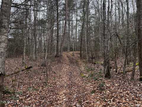 22.83/Ac Tbd Sciota Road, Elizabethton, TN 37643