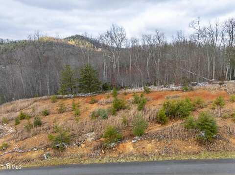 48 Homestead Drive, Unicoi, TN 37692