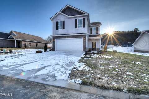 3445 Frylee Court, Kingsport, TN 37664