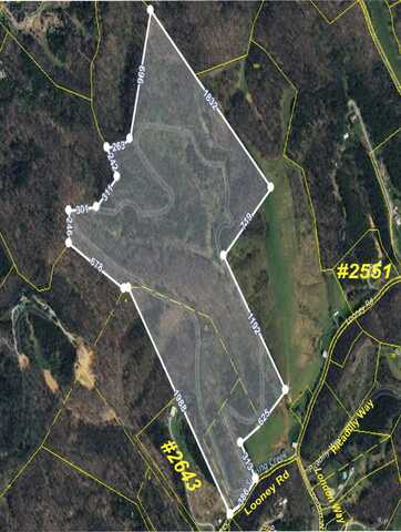 Looney Rd Off, Parrottsville, TN 37843