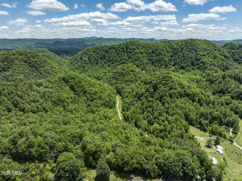 Tbd Lick Creek Drive, Fort Blackmore, VA 24250