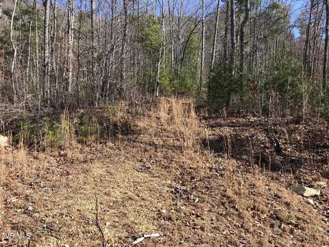 000 Rhea Lane, Mountain City, TN 37683